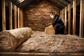 Best Eco-Friendly or Green Insulation Solutions  in Hernando, FL